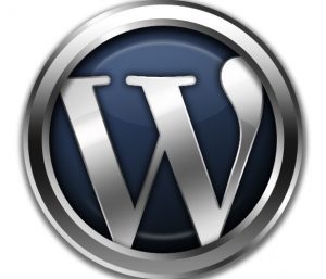new wordpress site