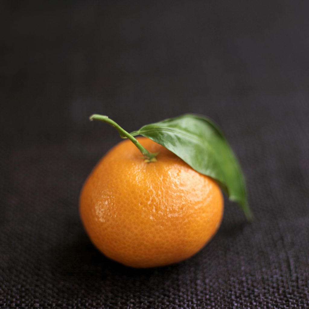 close up of an orange