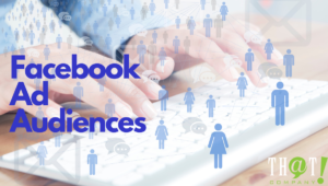 facebook ad audiences