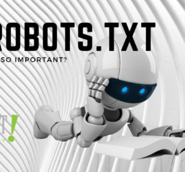 A robots text document is important