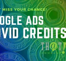 GOOGLE ADS COVID CREDITS