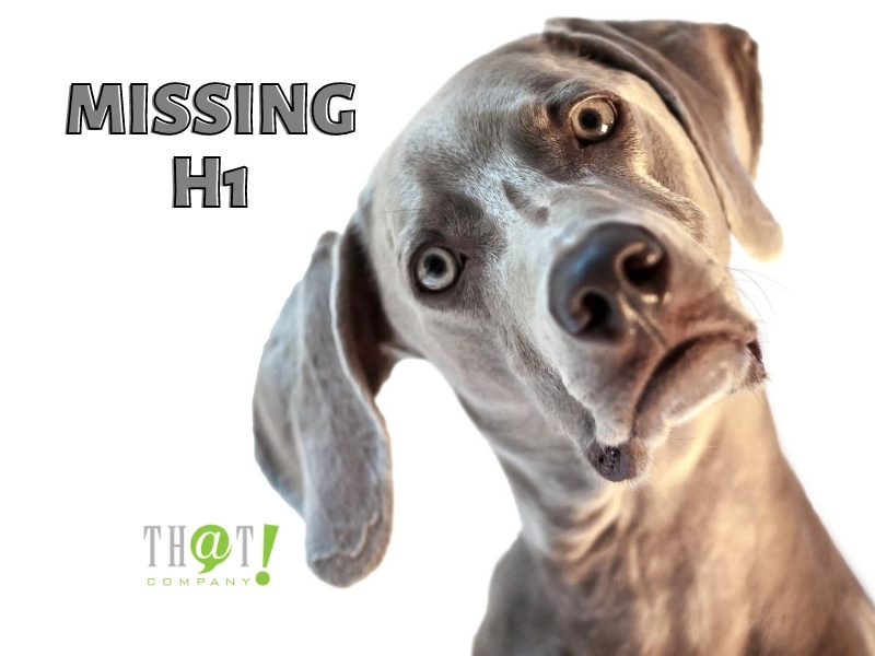 A MISSING H1 IS A BAD SEO CAMPAIGN ELEMENT