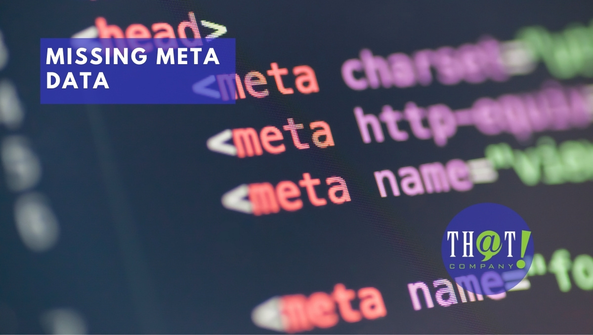 Web Development Issue of Missing Meta | META data html