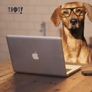 Content Writing Ideas | A Dog Wearing Eyeglasses In Front Of A Laptop