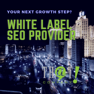 White Label SEO Provider Square 2