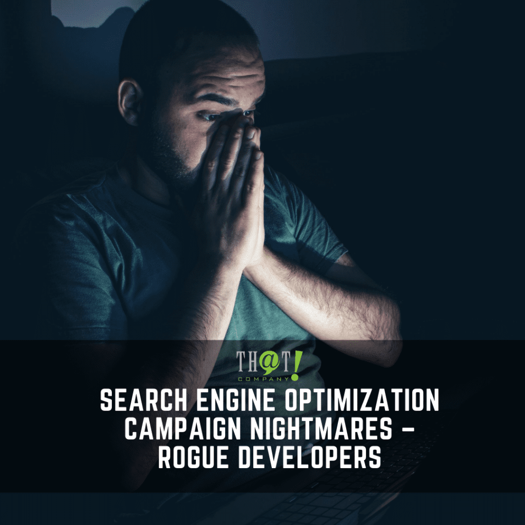 Search Engine Optimization Campaign Nightmares – Rogue Developers