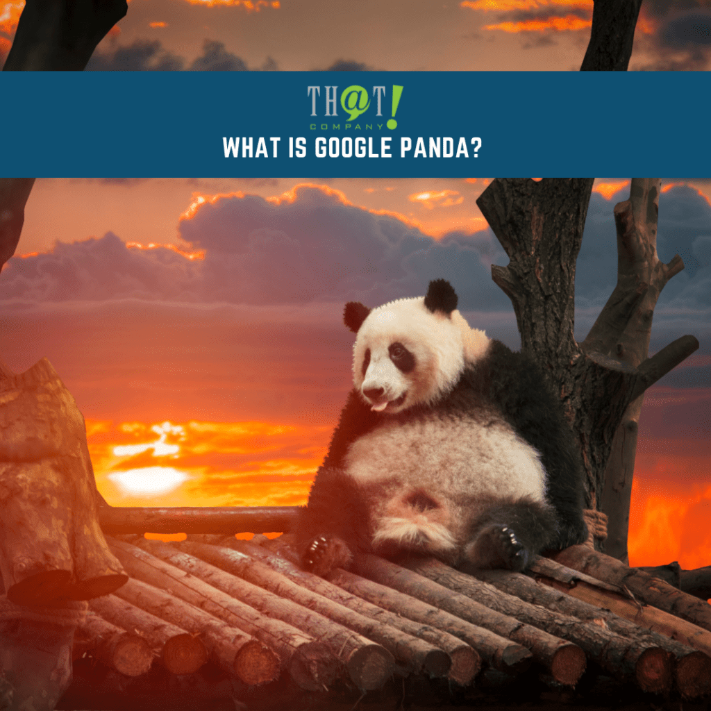 What is Google Panda