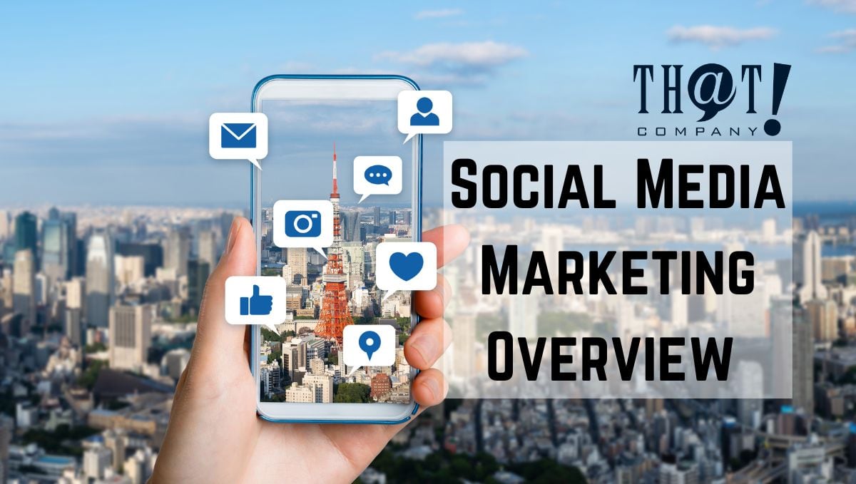 Social Media Marketing Overview | A Woman Holding Her Phone