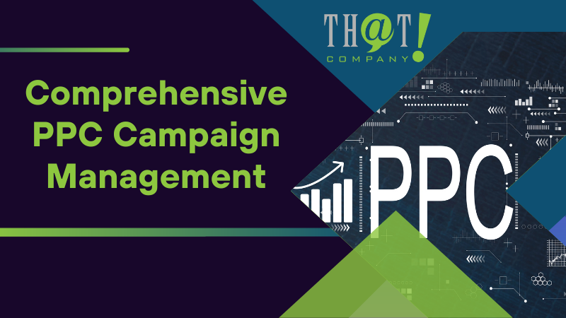 Comprehensive PPC Campaign Management