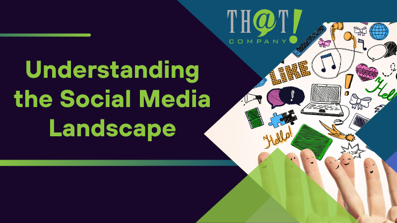 Understanding the Social Media Landscape