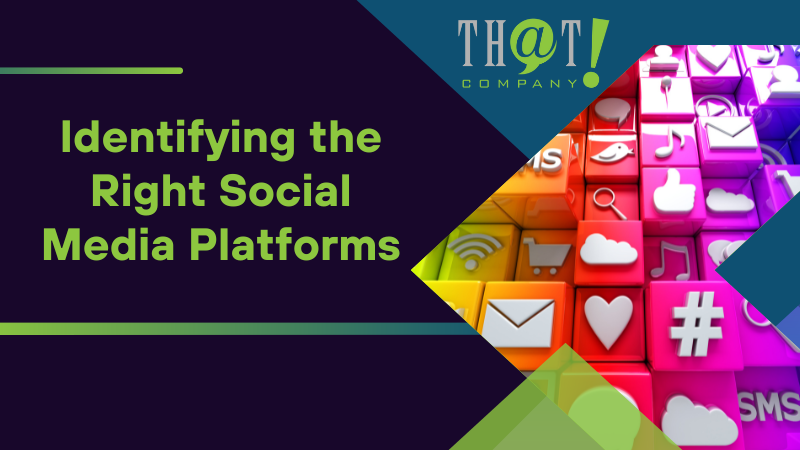Identifying the Right Social Media Platforms