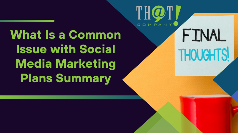 What Is a Common Issue with Social Media Marketing Plans Summary