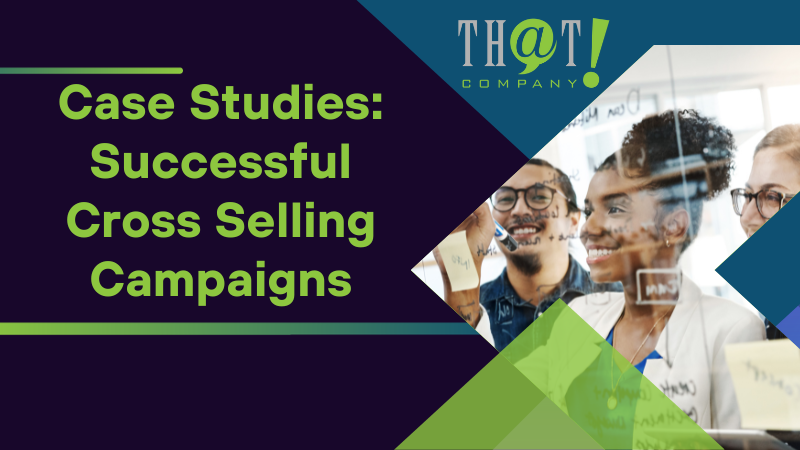 Case Studies Successful Campaigns