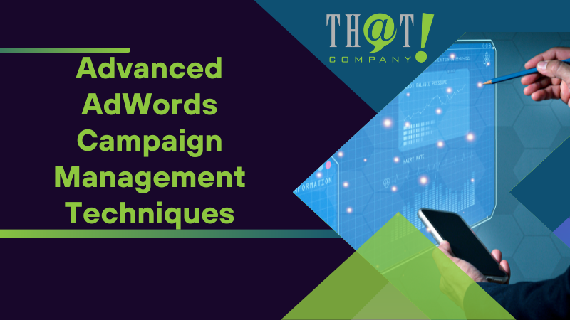 Advanced AdWords Campaign Management Techniques
