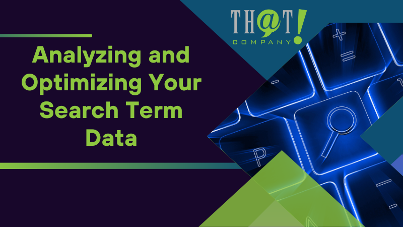 Analyzing and Optimizing Your Search Term Data