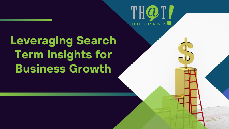 Leveraging Search Term Insights for Business Growth