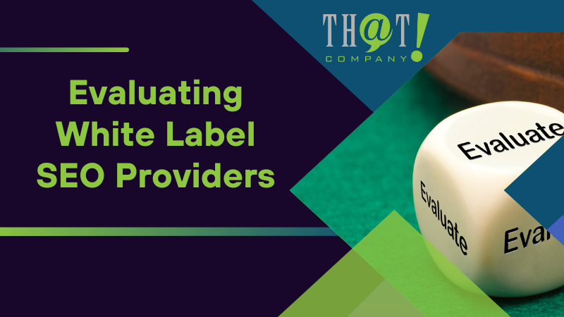 Evaluating White Label SEO Providers