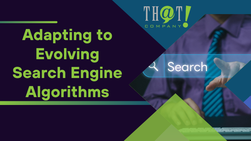 Adapting to Evolving Search Engine Algorithms