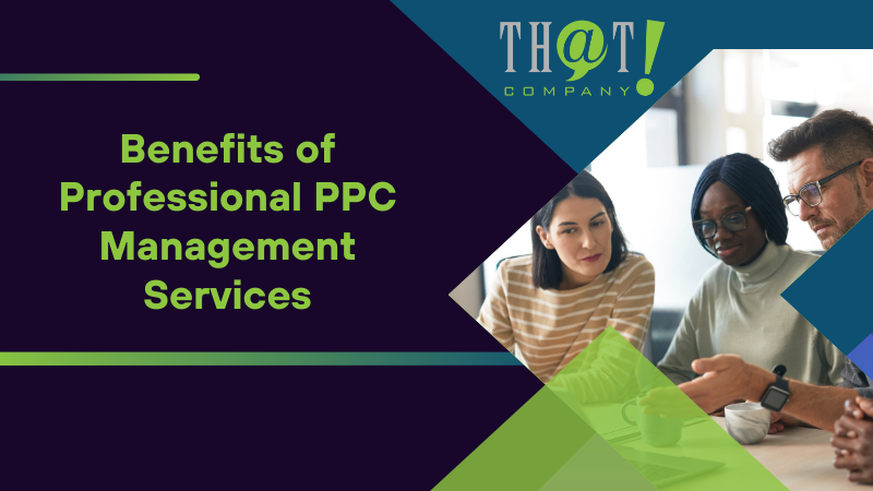 Benefits of Professional PPC Management Services