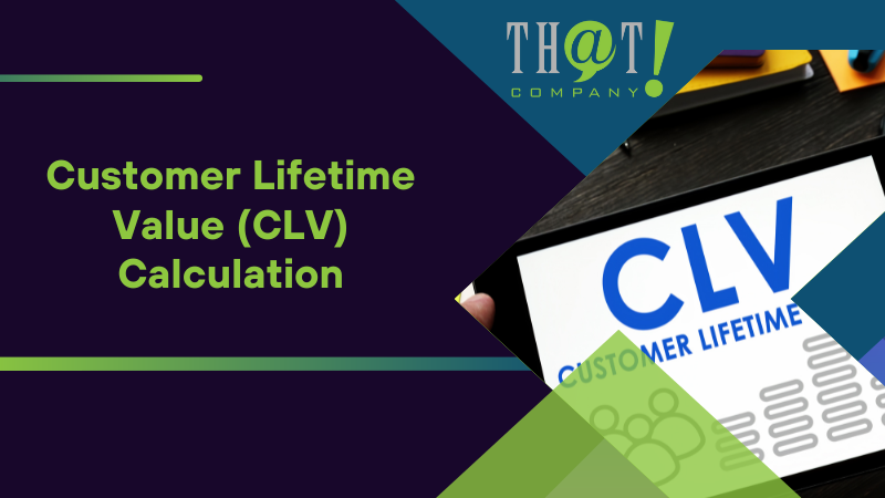 Customer Lifetime Value (CLV) Calculation