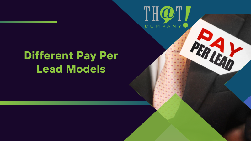 Different Pay Per Lead Model