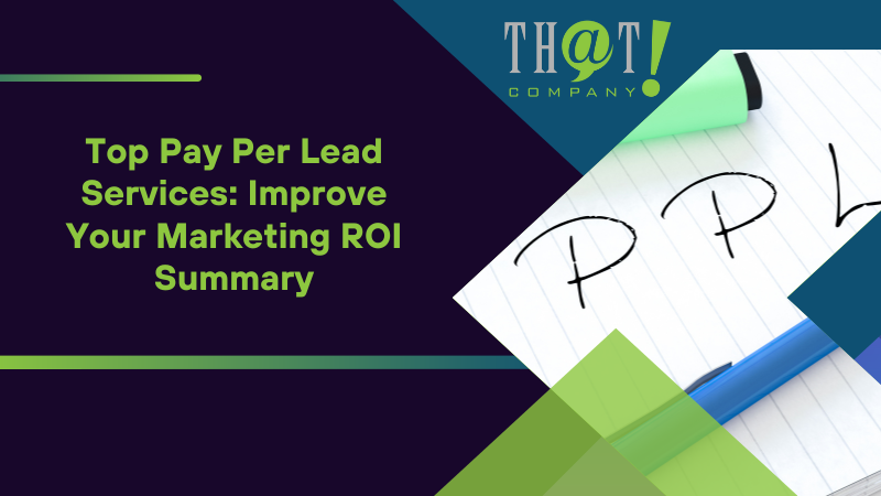 Summary on Top Pay Per Lead Services Improve Your Marketing ROI