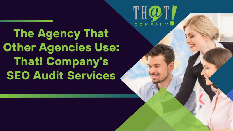 The Agency That Other Agencies Use That! Company's SEO Audit Services
