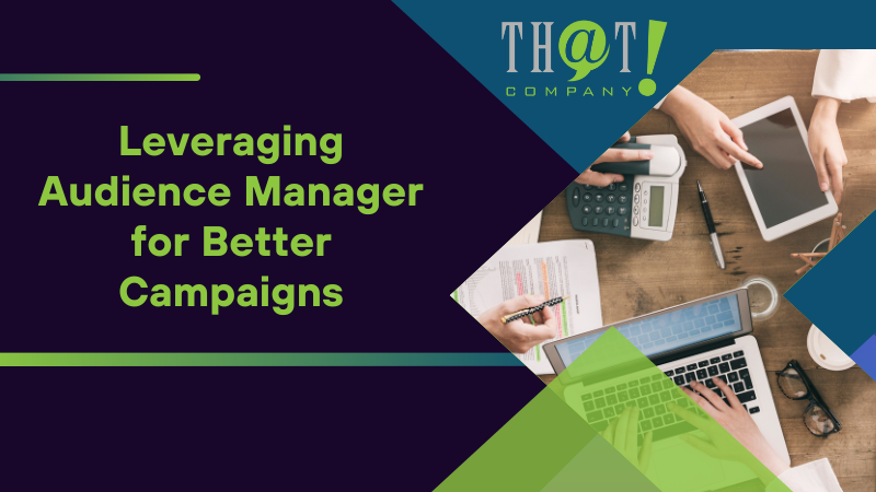 Leveraging Audience Manager for Better Campaigns