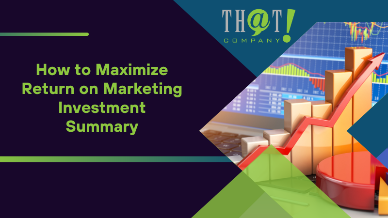 Summary on How to Maximize Return on Marketing Investment