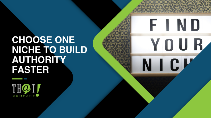 Choose One Niche To Build Authority Faster