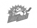 client-solarbears